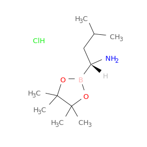 CC(C[C@@H](B1OC(C(O1)(C)C)(C)C)N)C.Cl