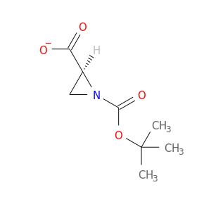 O=C(N1C[C@H]1C(=O)[O-])OC(C)(C)C