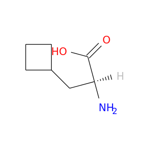 N[C@H](C(=O)O)CC1CCC1