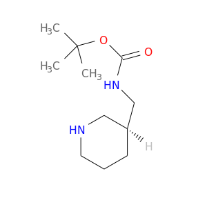 O=C(OC(C)(C)C)NC[C@H]1CCCNC1