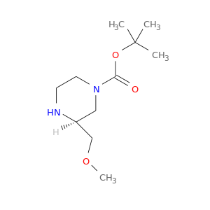 COC[C@H]1NCCN(C1)C(=O)OC(C)(C)C